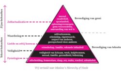 Wassili Zafiris. Maslow. Persoonlijk leiderschap motivatie en de menselijke natuur