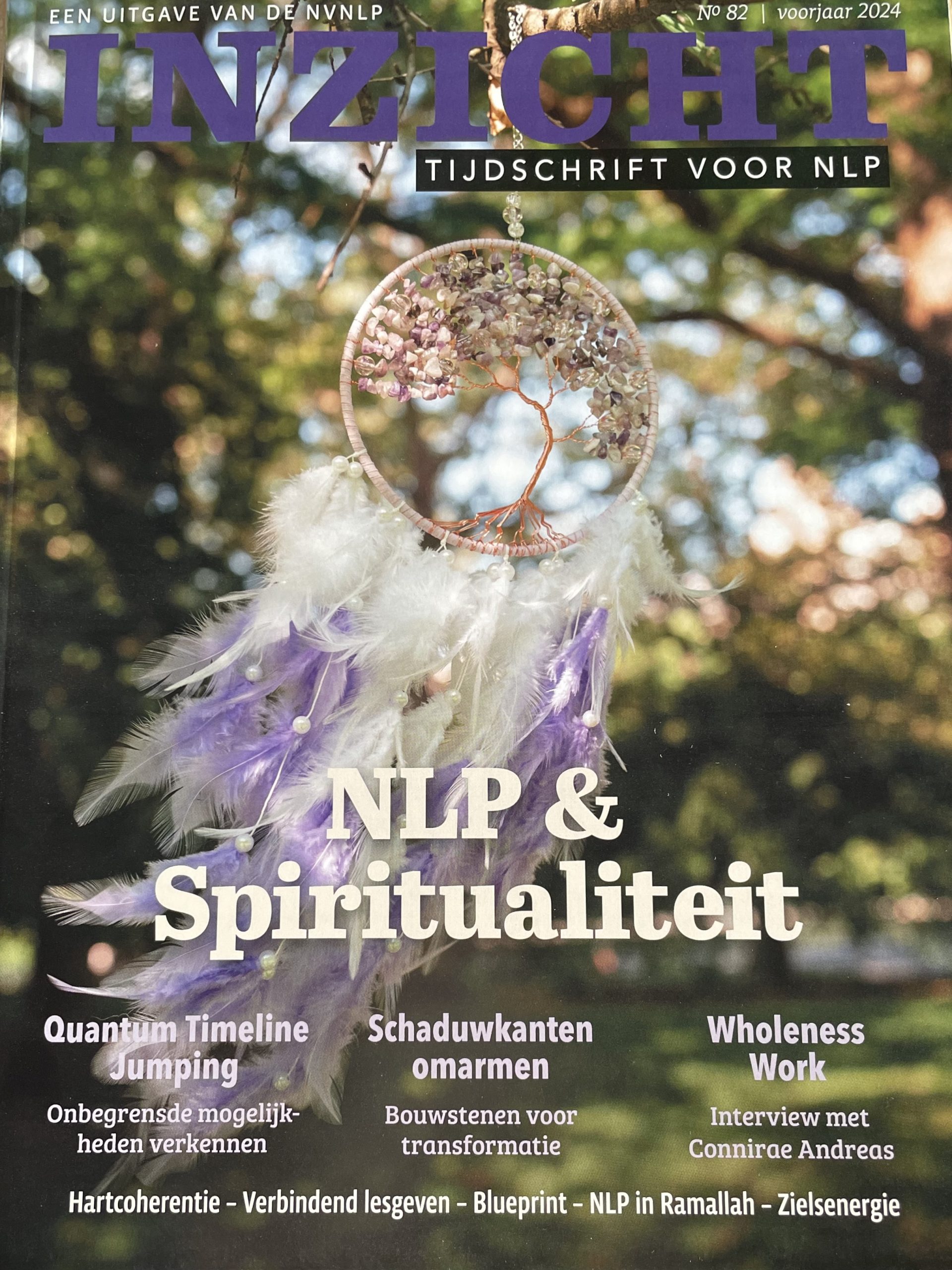 Wassili Zafiris. Inzicht voorjaar 2024. NVNLP. Kritiek op NLP.